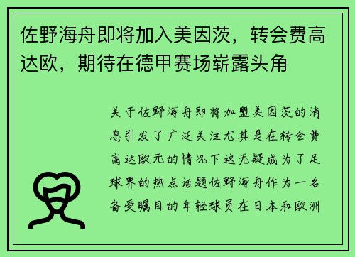 佐野海舟即将加入美因茨，转会费高达欧，期待在德甲赛场崭露头角